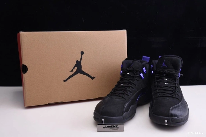 HYPE CT8013 'Dark 005 Concord' Retro Jordan 12 Air 0725